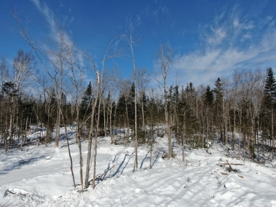 52± Acres Near Moosehead Lake - image 17