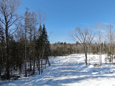 52± Acres Near Moosehead Lake - image 18
