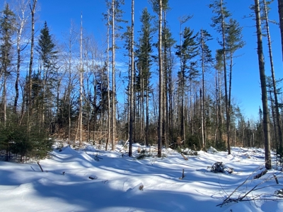 52± Acres Near Moosehead Lake - image 27