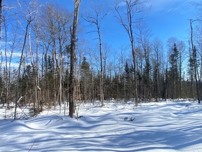 52± Acres Near Moosehead Lake - image 34