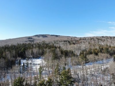 52± Acres Near Moosehead Lake - image 4