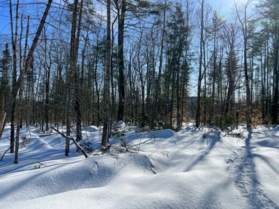 52± Acres Near Moosehead Lake - image 25