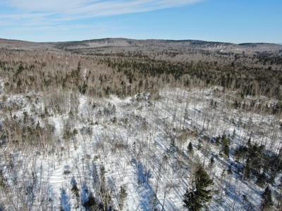 52± Acres Near Moosehead Lake - image 8