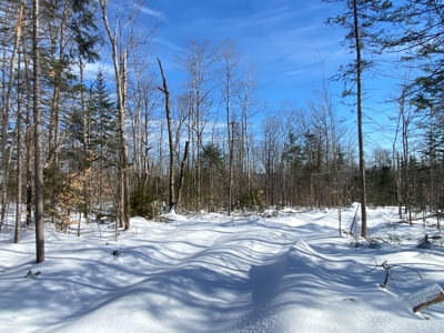 52± Acres Near Moosehead Lake - image 35