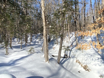 52± Acres Near Moosehead Lake - image 29