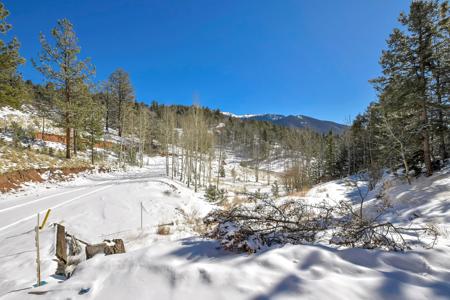 Colorado Mountain Cabin in Divide - image 5