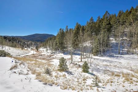 Colorado Mountain Cabin in Divide - image 2