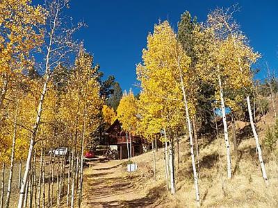 Colorado Mountain Cabin in Divide - image 39