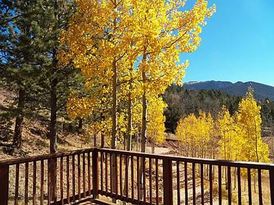 Colorado Mountain Cabin in Divide - image 33