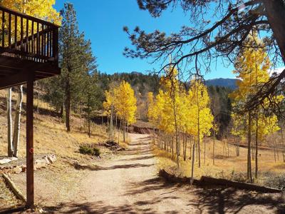 Colorado Mountain Cabin in Divide - image 32