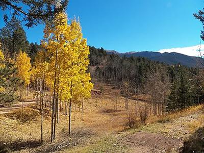 Colorado Mountain Cabin in Divide - image 38