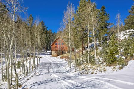 Colorado Mountain Cabin in Divide - image 3