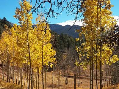 Colorado Mountain Cabin in Divide - image 37