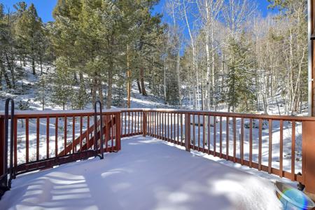 Colorado Mountain Cabin in Divide - image 31