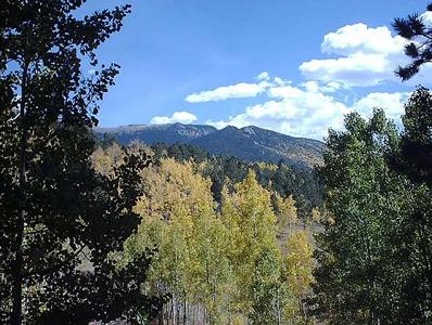 Colorado Mountain Cabin in Divide - image 36