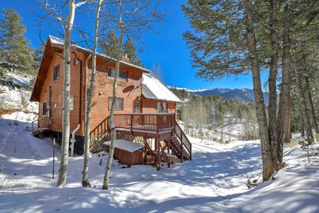 Colorado Mountain Cabin in Divide - image 7