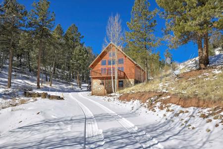 Colorado Mountain Cabin in Divide - image 4