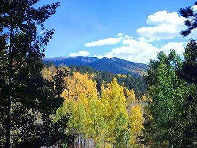 Colorado Mountain Cabin in Divide - image 34