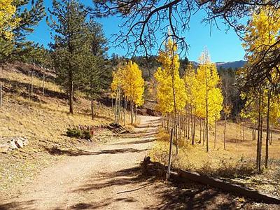 Colorado Mountain Cabin in Divide - image 35