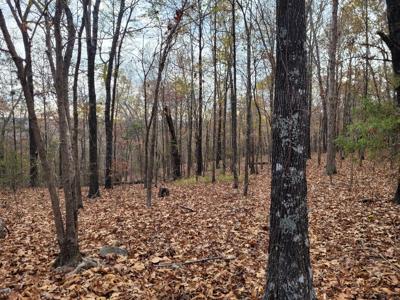 Rustic Cabin In North Central Ar For Sale - image 14