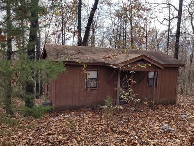 Rustic Cabin In North Central Ar For Sale - image 10