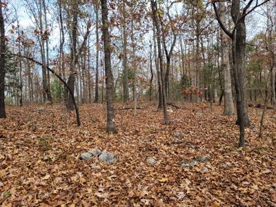 Rustic Cabin In North Central Ar For Sale - image 13