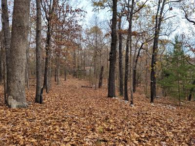 Rustic Cabin In North Central Ar For Sale - image 16