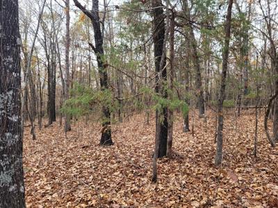 Rustic Cabin In North Central Ar For Sale - image 15