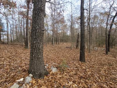 Rustic Cabin In North Central Ar For Sale - image 9