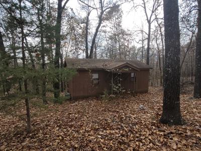 Rustic Cabin In North Central Ar For Sale - image 11