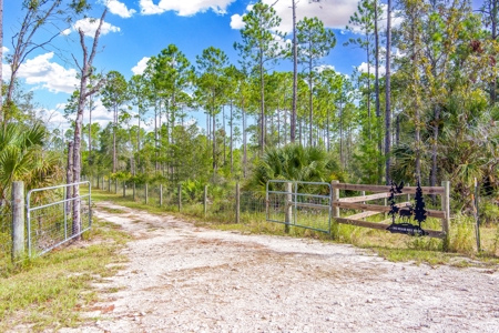 Steinhatchee Florida! Gulf Of Mexico! Taylor County Florida! - image 43