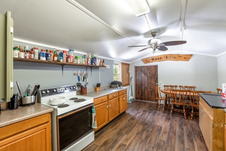 Steinhatchee Florida! Gulf Of Mexico! Taylor County Florida! - image 30