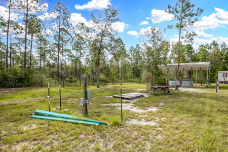 Steinhatchee Florida! Gulf Of Mexico! Taylor County Florida! - image 11