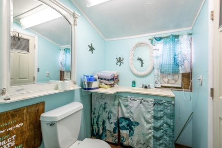 Steinhatchee Florida! Gulf Of Mexico! Taylor County Florida! - image 34