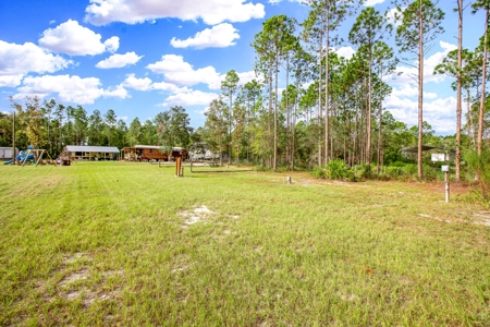 Steinhatchee Florida! Gulf Of Mexico! Taylor County Florida! - image 9