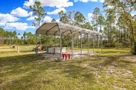 Steinhatchee Florida! Gulf Of Mexico! Taylor County Florida! - image 15