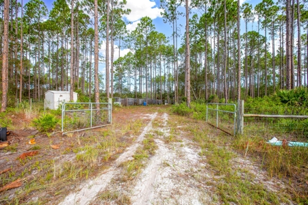 Steinhatchee Florida! Gulf Of Mexico! Taylor County Florida! - image 5