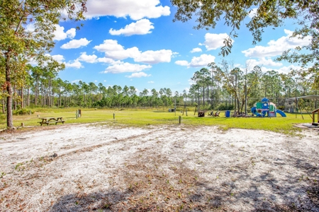 Steinhatchee Florida! Gulf Of Mexico! Taylor County Florida! - image 27