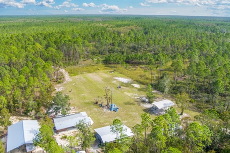 Steinhatchee Florida! Gulf Of Mexico! Taylor County Florida! - image 40