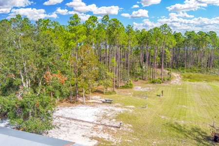 Steinhatchee Florida! Gulf Of Mexico! Taylor County Florida! - image 39