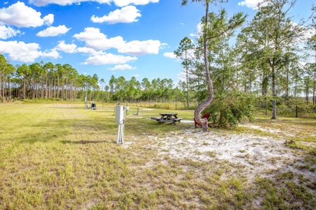 Steinhatchee Florida! Gulf Of Mexico! Taylor County Florida! - image 17