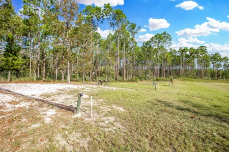 Steinhatchee Florida! Gulf Of Mexico! Taylor County Florida! - image 24