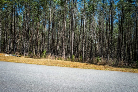 Mountain Lot For Sale on Lake James in Nebo NC - image 12
