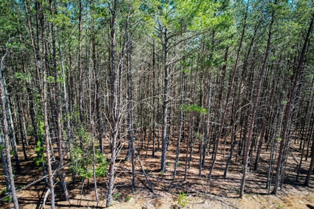Mountain Lot For Sale on Lake James in Nebo NC - image 9