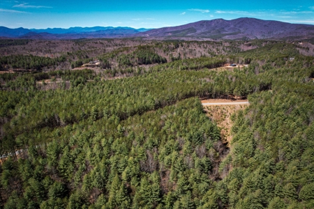 Mountain Lot For Sale on Lake James in Nebo NC - image 7