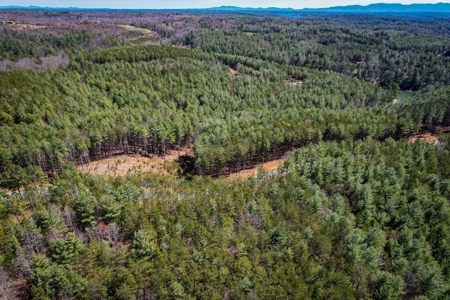 Mountain Lot For Sale on Lake James in Nebo NC - image 4