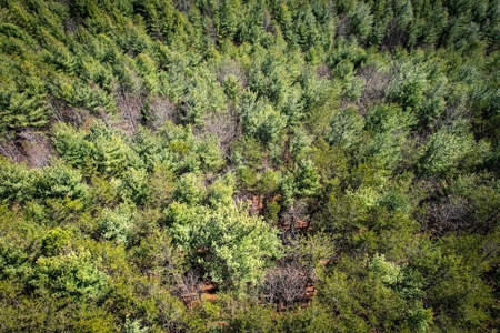 Mountain Lot For Sale on Lake James in Nebo NC - image 15