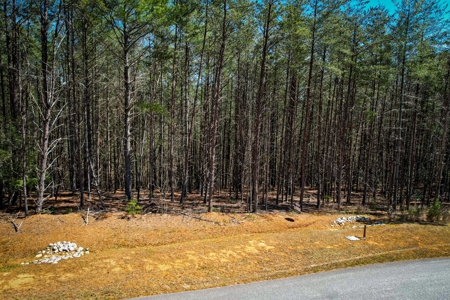 Mountain Lot For Sale on Lake James in Nebo NC - image 3