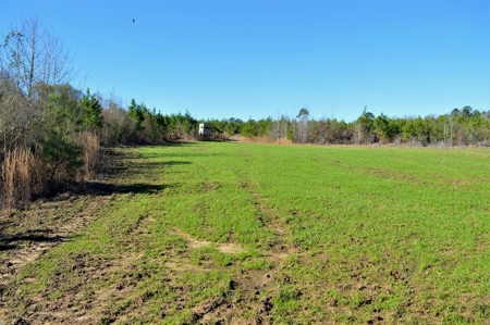 185 Acre Turnkey Hunting Paradise Southwest MS - image 26
