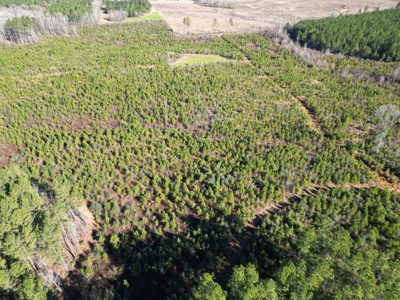 185 Acre Turnkey Hunting Paradise Southwest MS - image 3